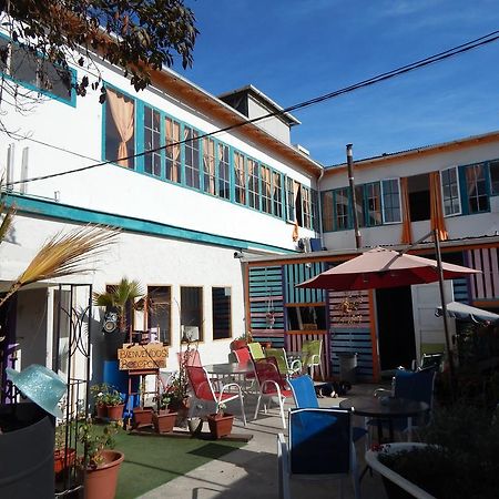 Street Garden Hostel Vina del Mar Dış mekan fotoğraf