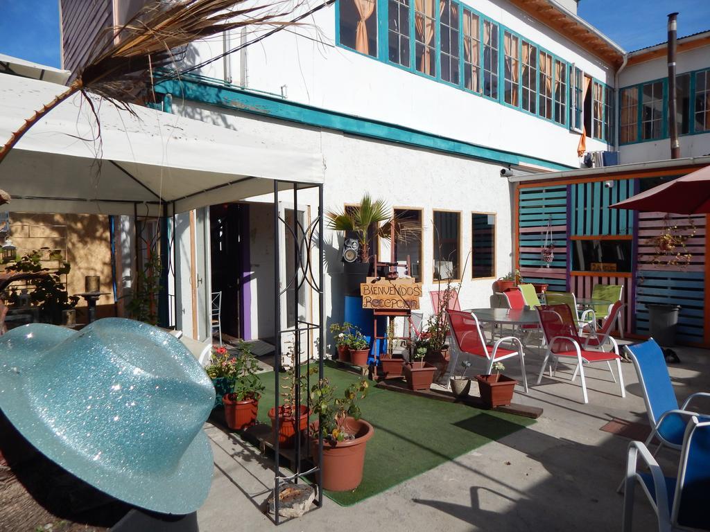 Street Garden Hostel Vina del Mar Dış mekan fotoğraf