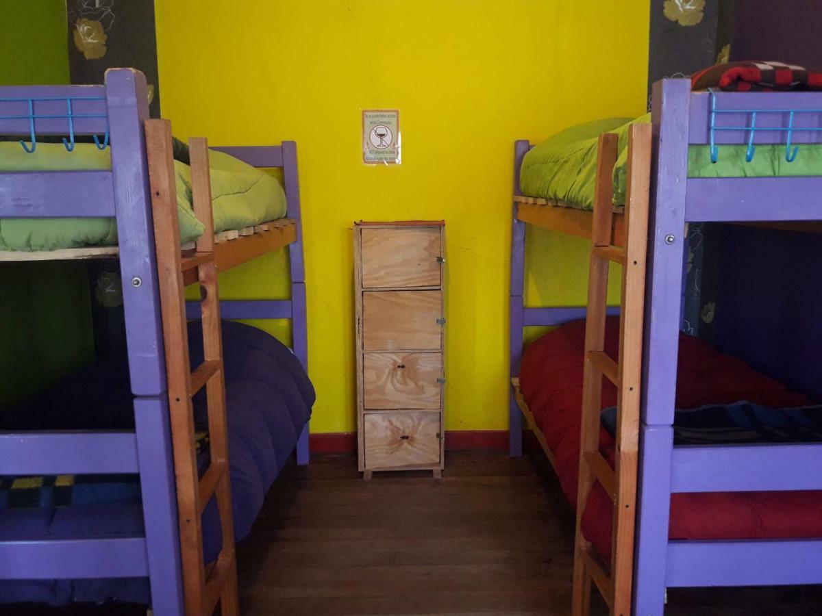Street Garden Hostel Vina del Mar Dış mekan fotoğraf