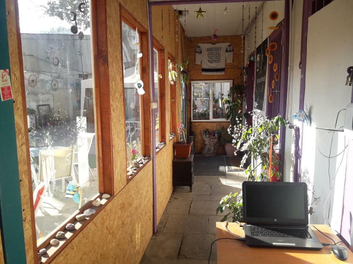 Street Garden Hostel Vina del Mar Dış mekan fotoğraf