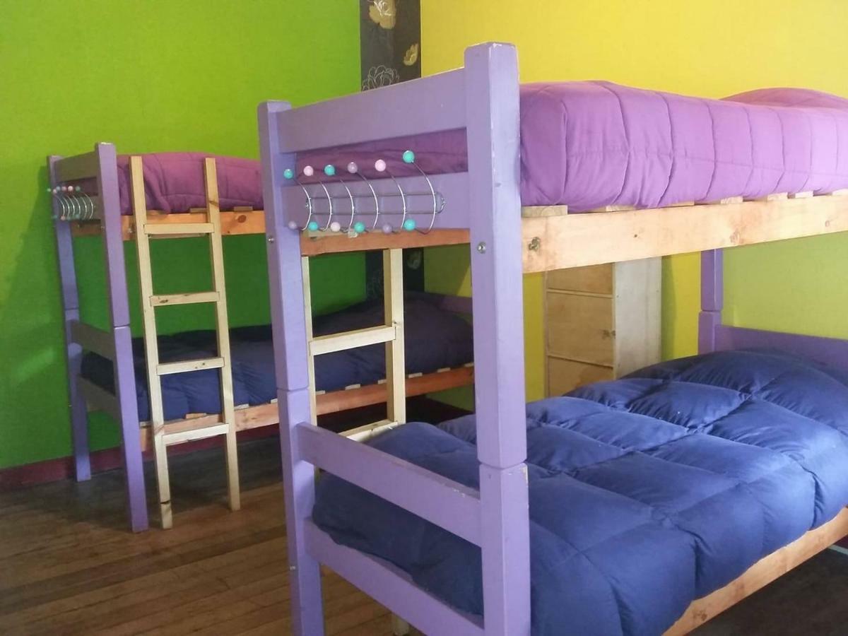 Street Garden Hostel Vina del Mar Dış mekan fotoğraf