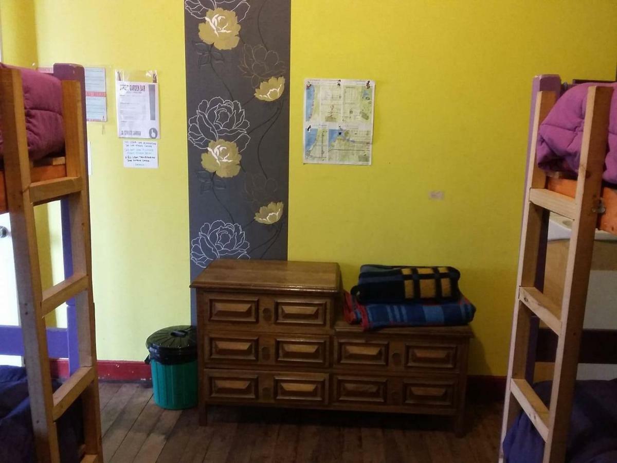 Street Garden Hostel Vina del Mar Dış mekan fotoğraf