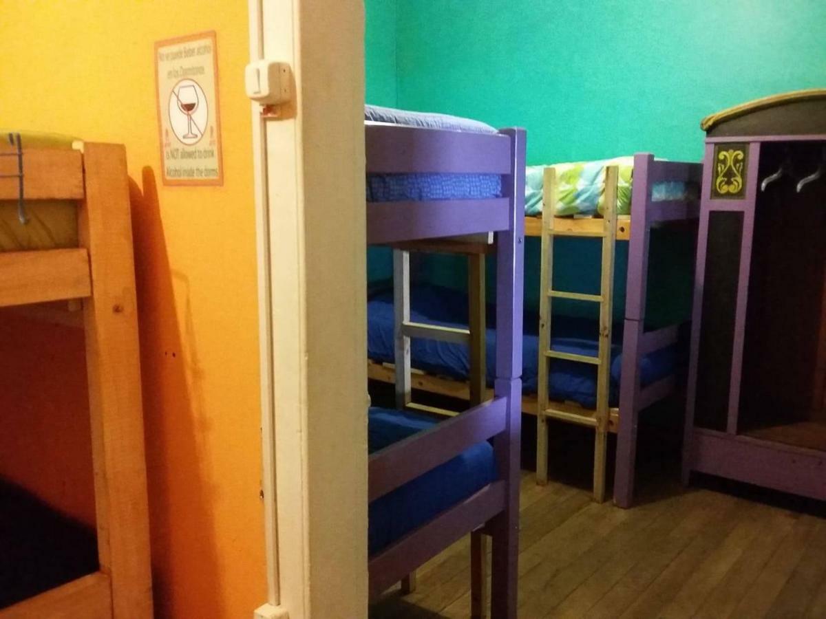 Street Garden Hostel Vina del Mar Dış mekan fotoğraf