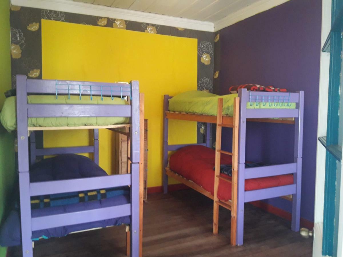Street Garden Hostel Vina del Mar Dış mekan fotoğraf